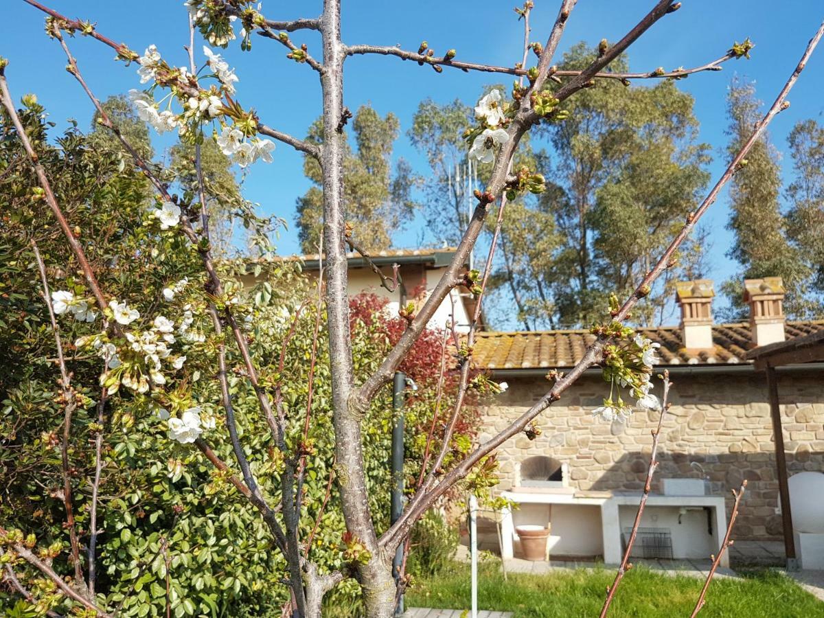 Villino Il Paduletto Casa Paduletto Exterior foto